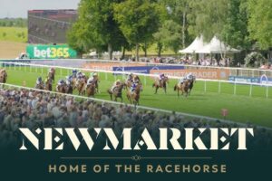 Highlights from Recent Newmarket Races