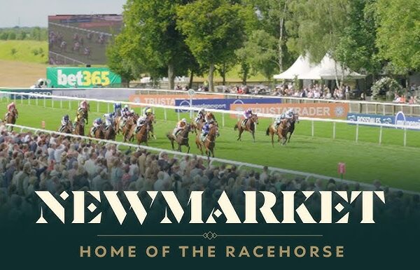 Highlights from Recent Newmarket Races