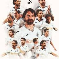 Joe Allen to Retire from Football